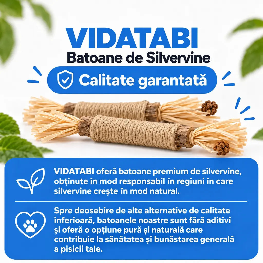 Vidatabi – Bețișoare Dentare Naturale pentru Pisici