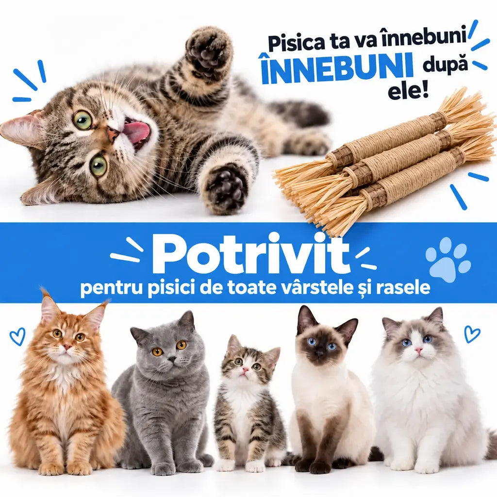 Vidatabi – Bețișoare Dentare Naturale pentru Pisici