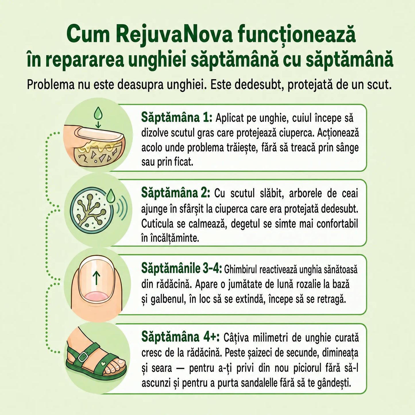 RejuvaNova - Ulei de tratament antifungic