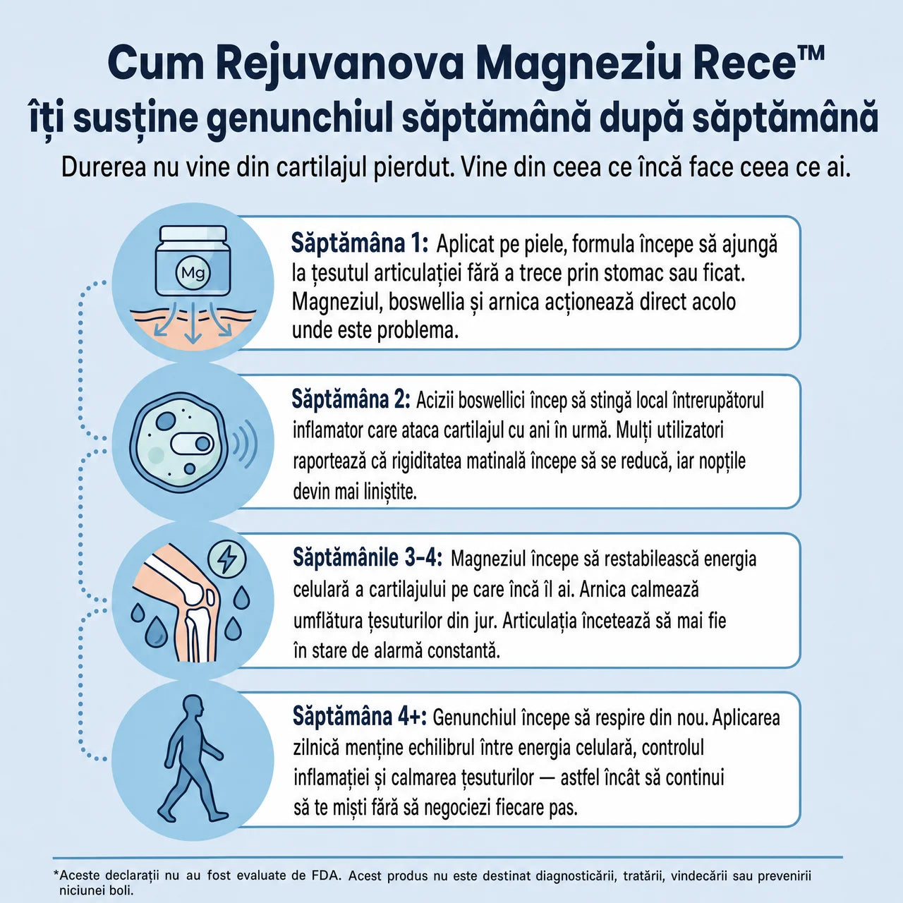 Magneziu Rece