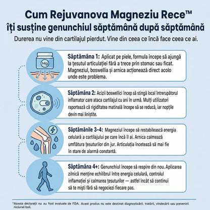 Magneziu Rece